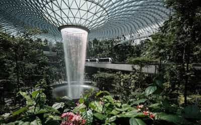 24 Best Singapore Airport Lounges (SIN): 2026 Guide